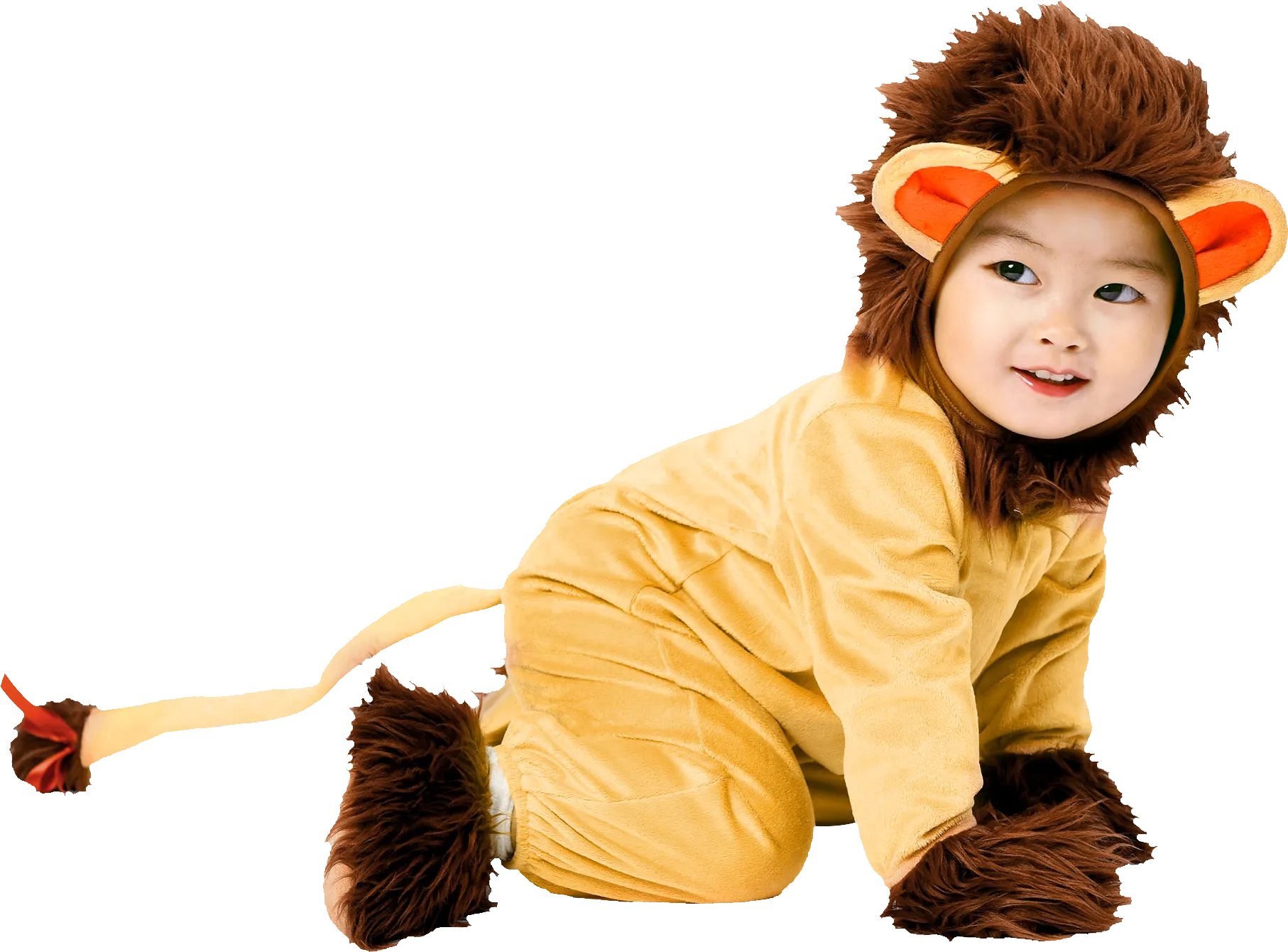 Baby Lion Costume, Animal Halloween Pajamas, Girls Boys Onesie Romper Jumpsuit 5PCS