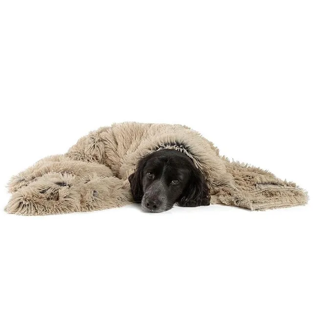 Best Friends by Sheri Calming Pet Throw Blanket in Shag Fur, Taupe