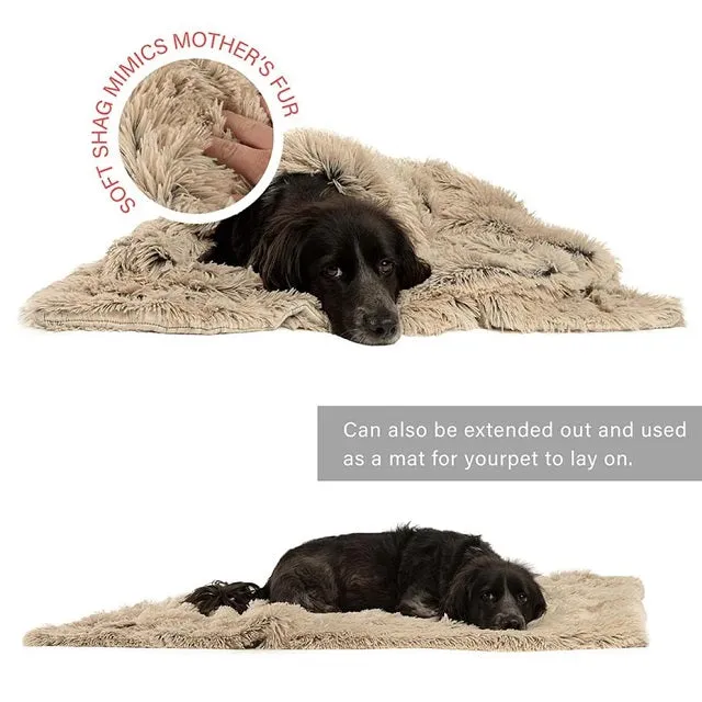 Best Friends by Sheri Calming Pet Throw Blanket in Shag Fur, Taupe