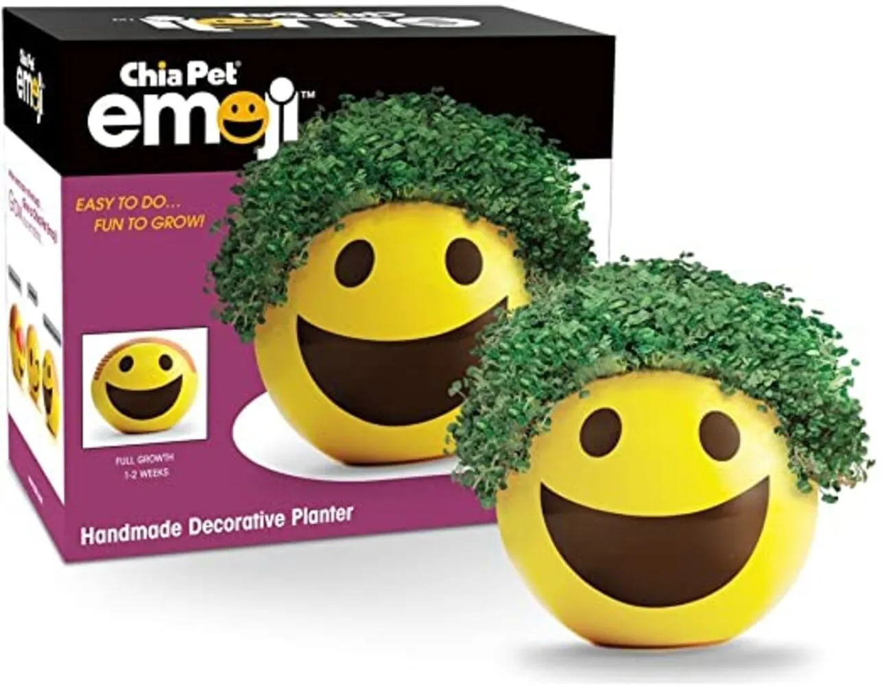 Chia Pet Planter - Emoji - Smiley