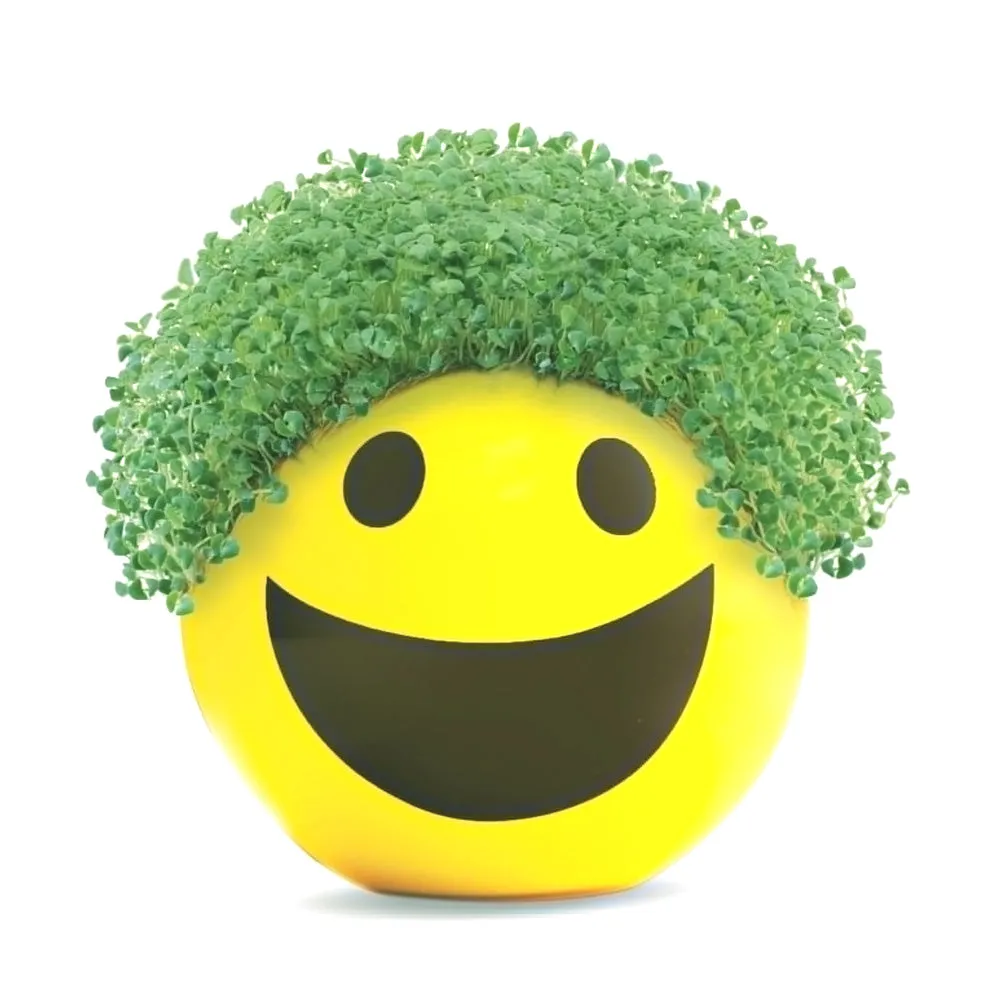 Chia Pet Planter - Emoji - Smiley