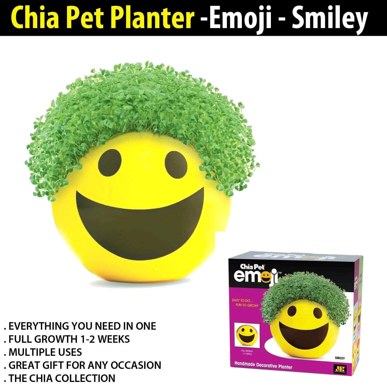 Chia Pet Planter - Emoji - Smiley