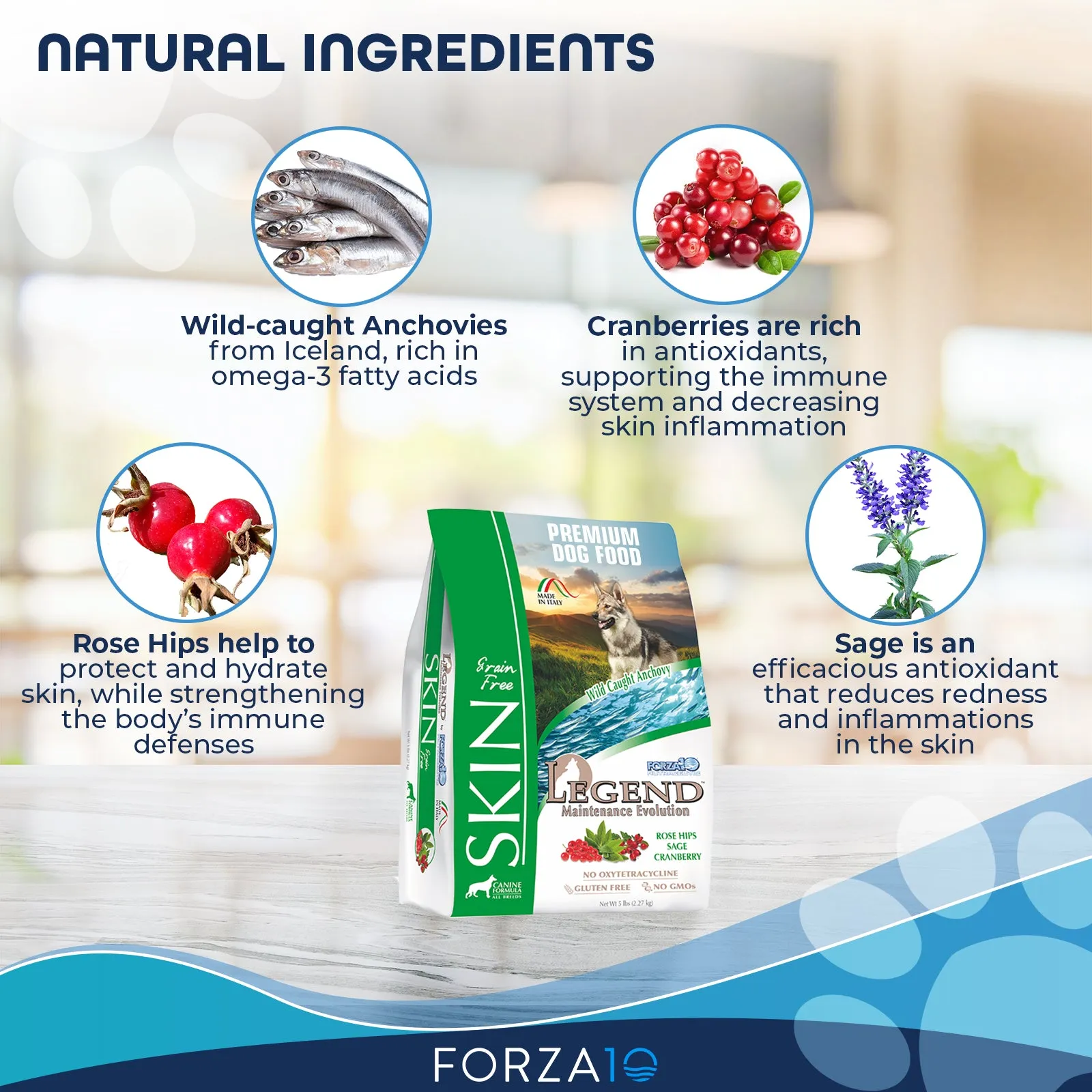 Forza10 Nutraceutic Legend Skin Grain-Free Wild Caught Anchovy Dry Dog Food