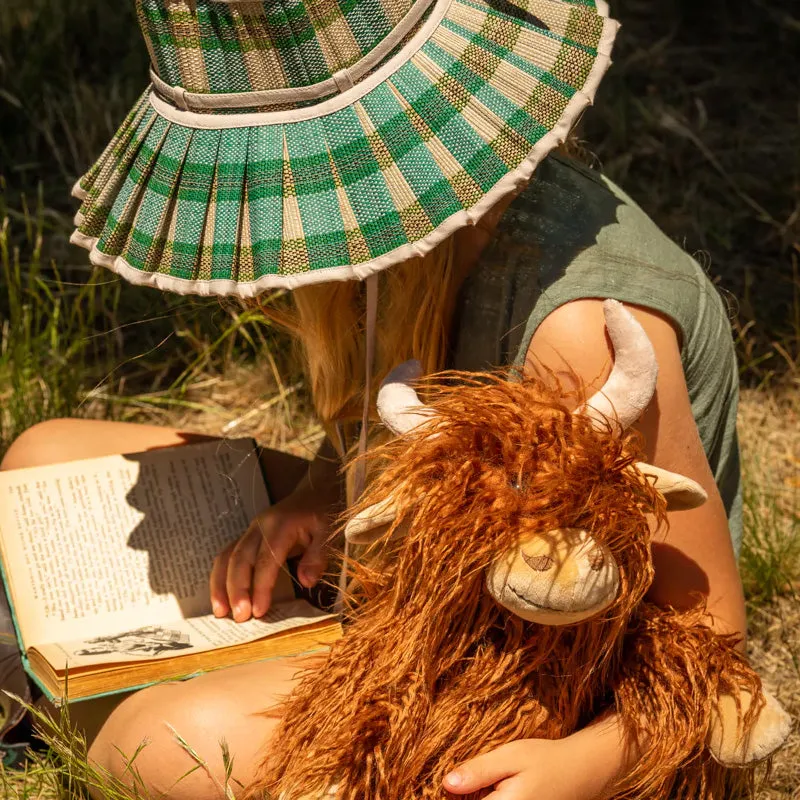 Henry the Highland Cow