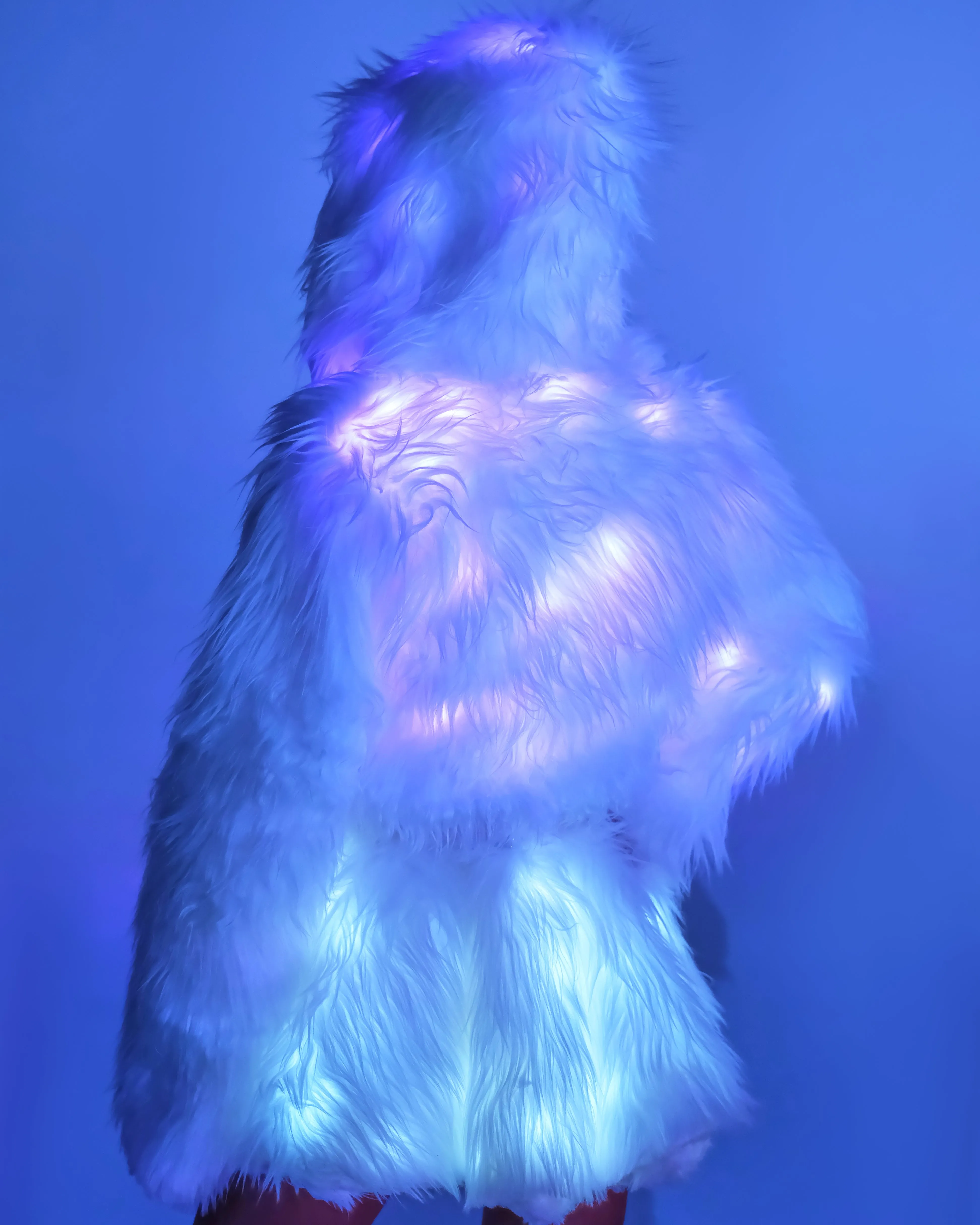 Lavender LED White Furry Cropped Hooded Jacket