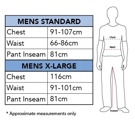 Men's Costume - Batman Dawn Of Justice