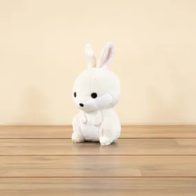 Mini Bunni the Bunny Rabbit