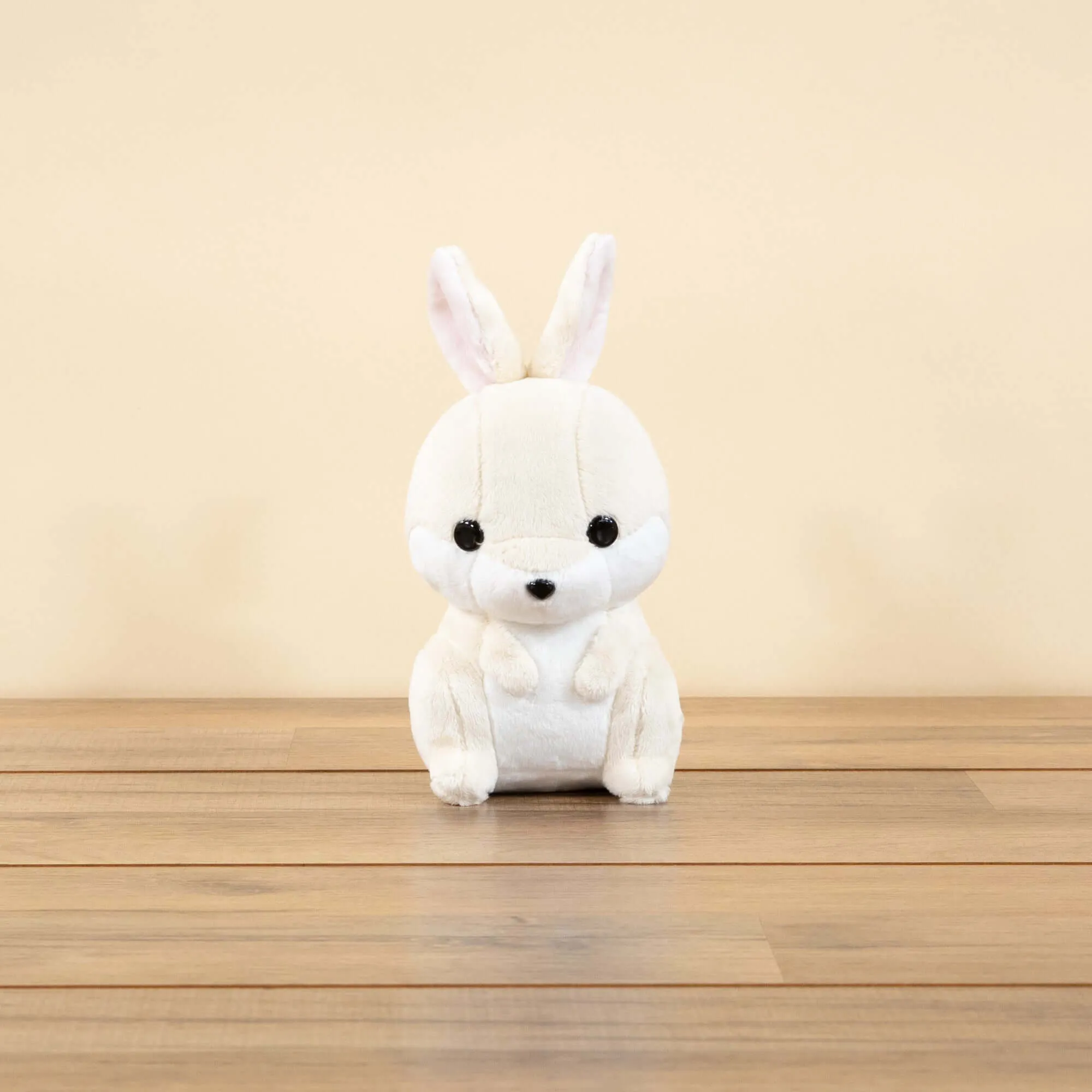 Mini Bunni the Bunny Rabbit