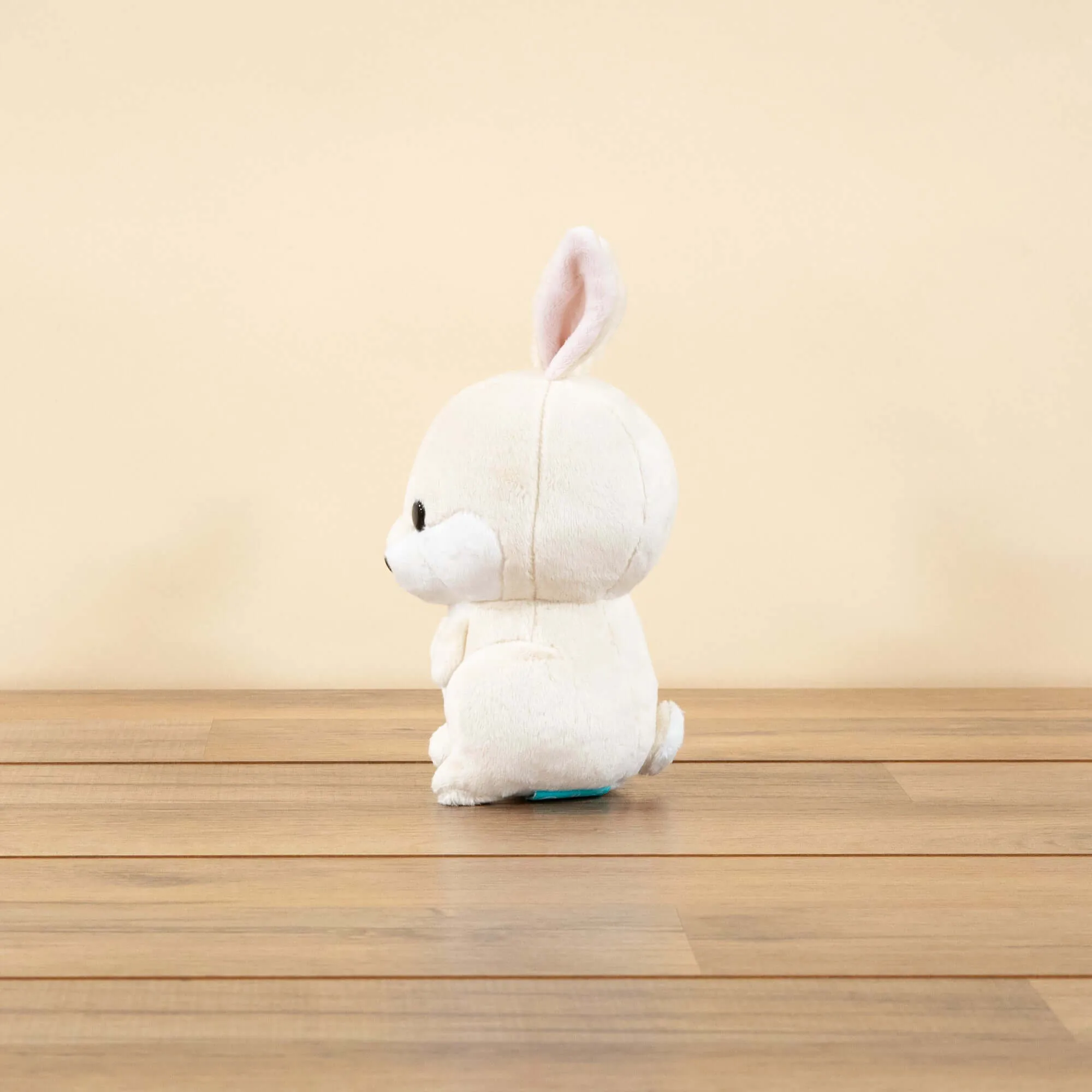 Mini Bunni the Bunny Rabbit