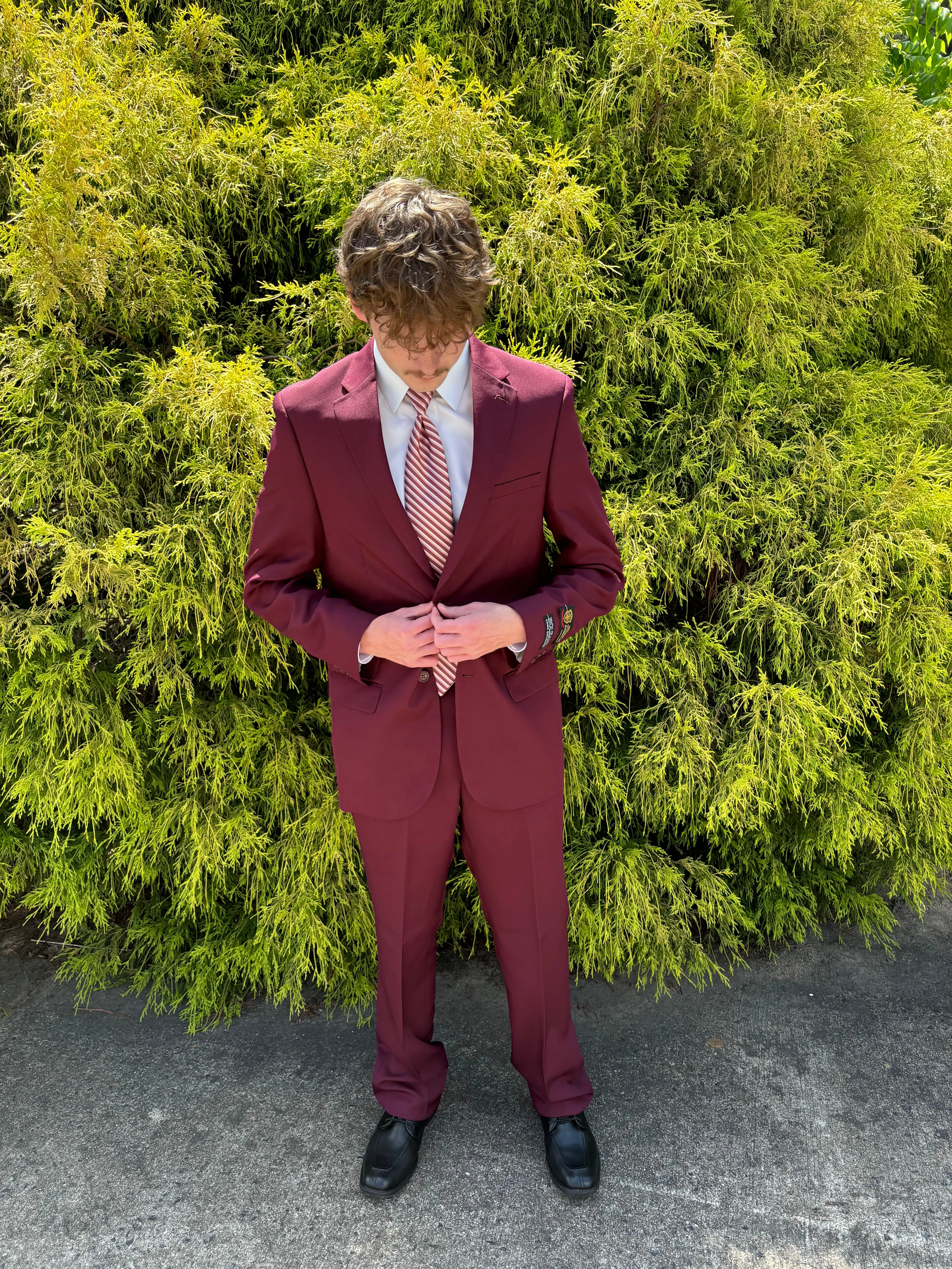 New Bolzano Burgundy Regular Fit Suit