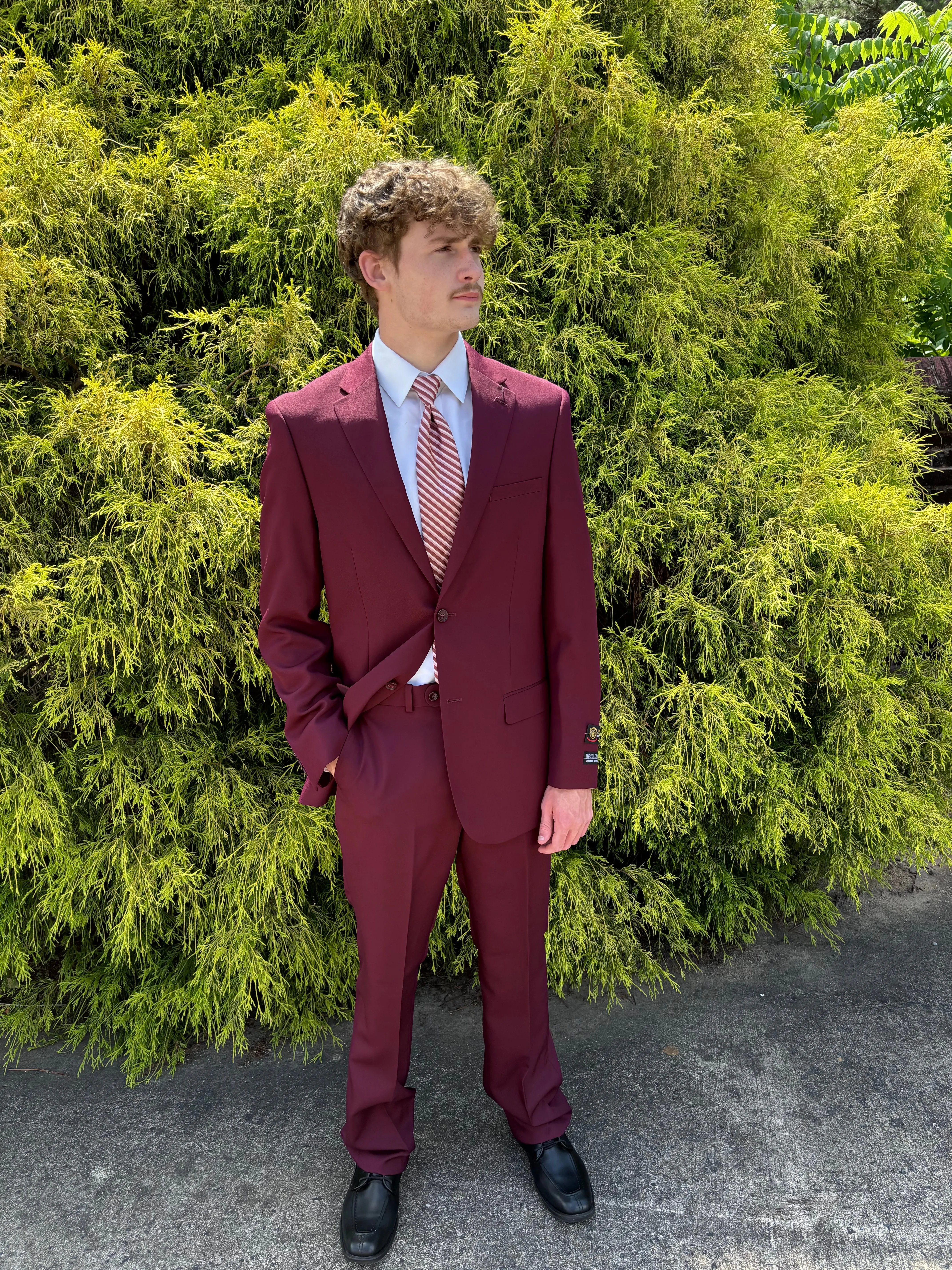 New Bolzano Burgundy Regular Fit Suit