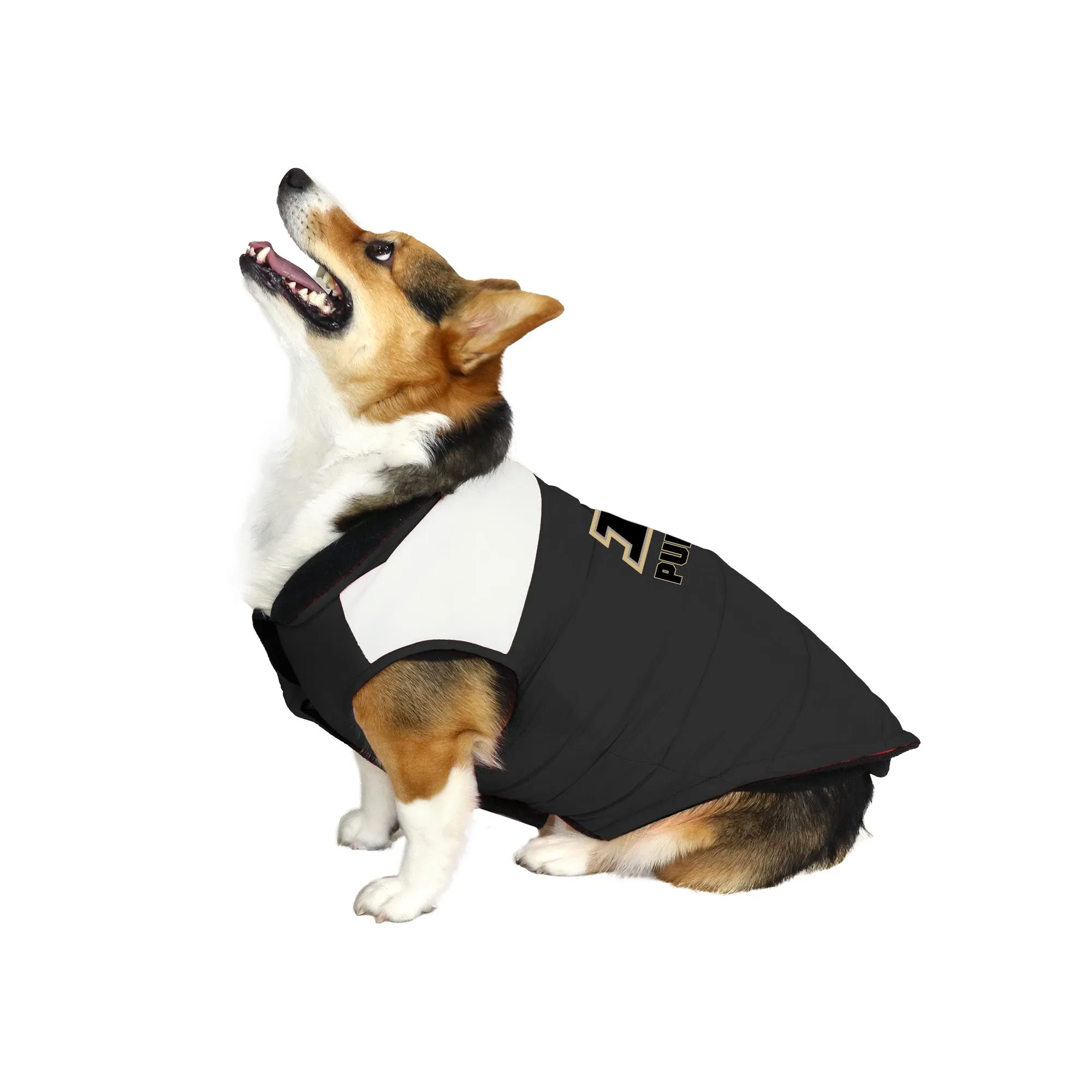 Purdue University Pet Parka Puff Vest