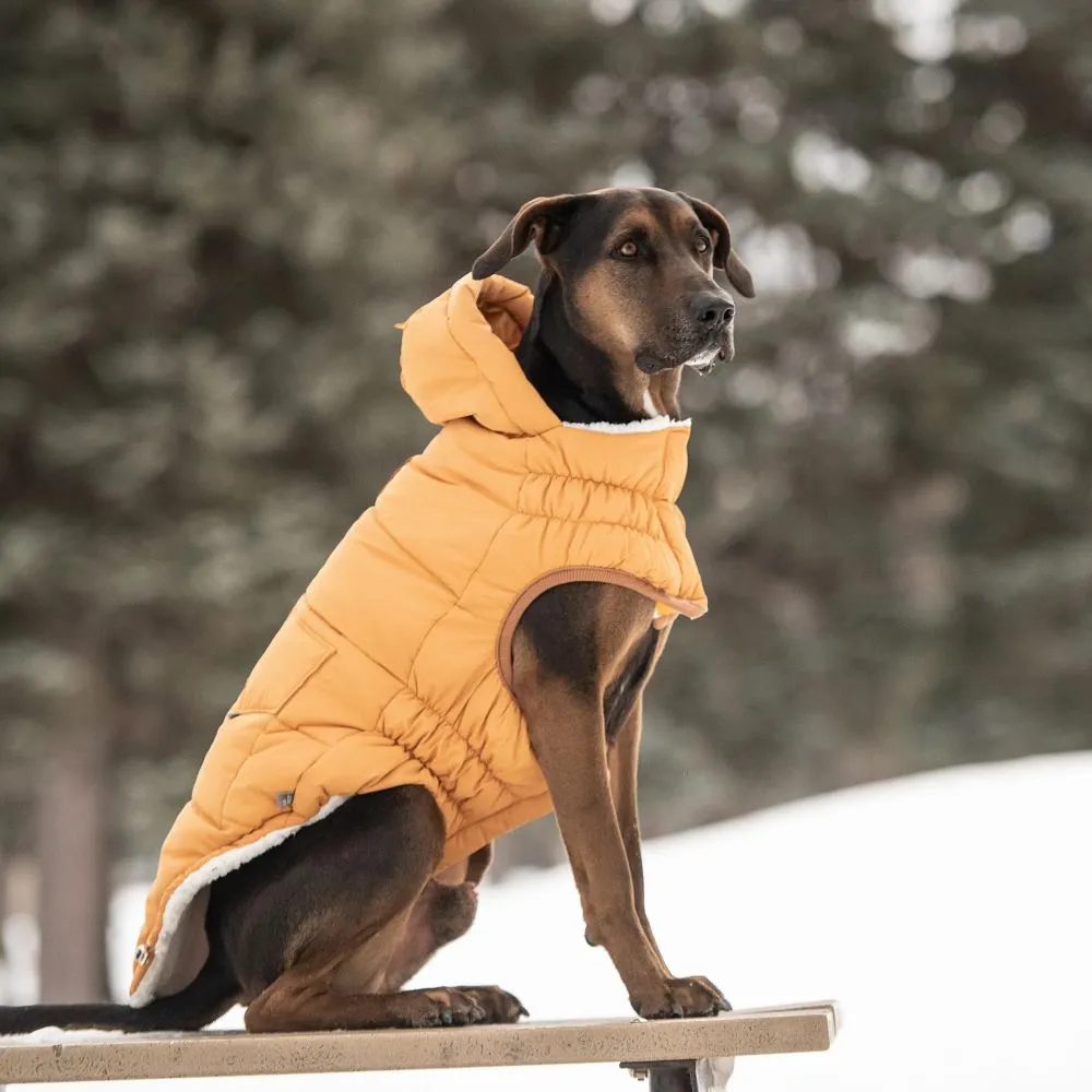 Super Puff Parka in Yellow