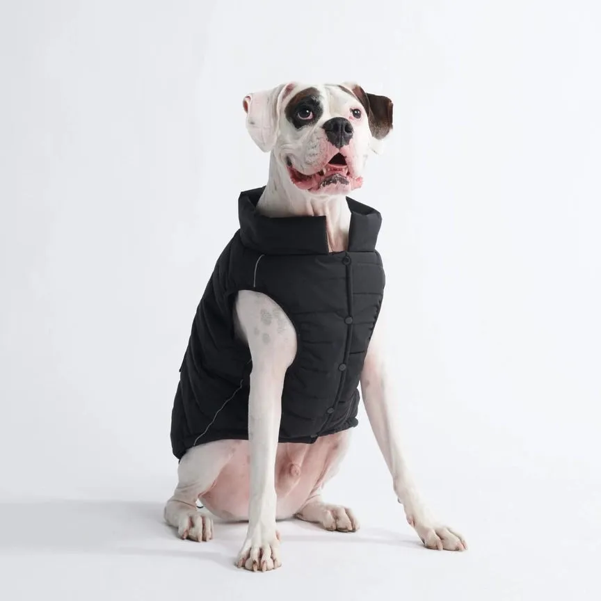 Warmshield Water-Resistant Dog Jacket