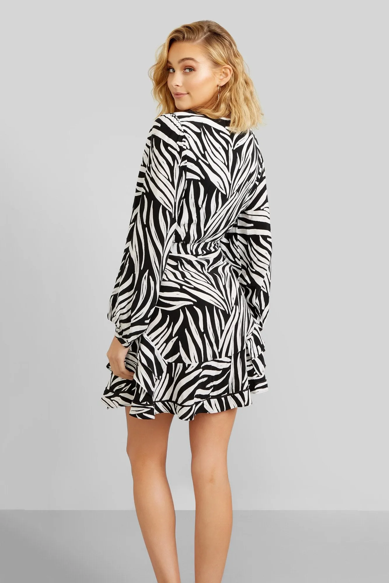 Zebra Mini Dress